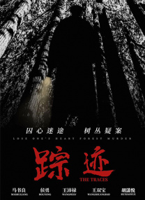 久久国内精品视频